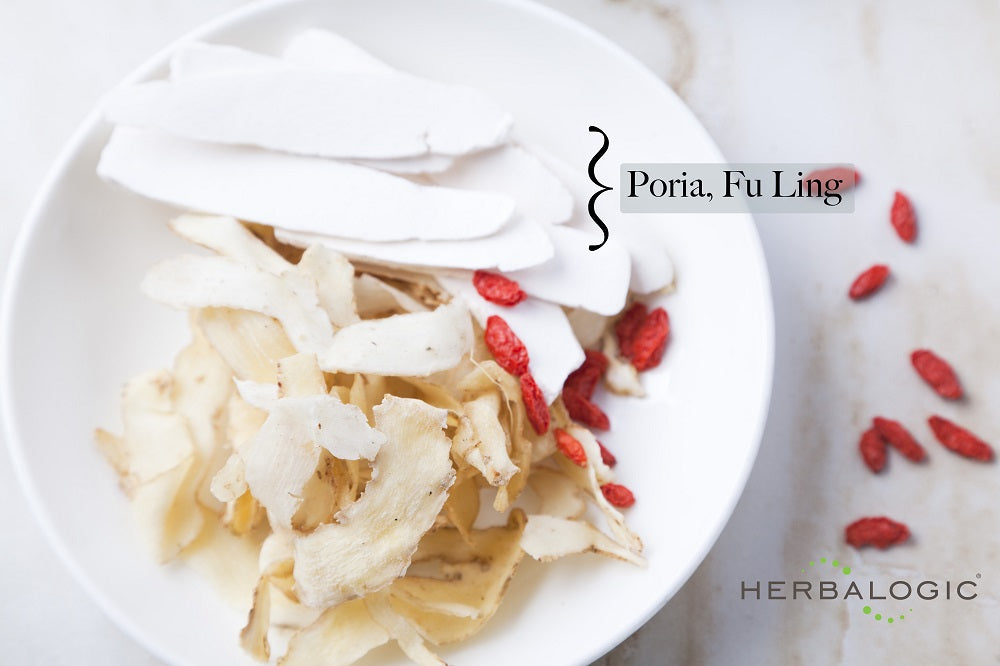 Poria is used in traditional Chinese medicine to resolve damp accumulation in the body by promoting urination, like a diuretic