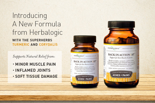 Natural pain relief formula from Herbalogic - Back in Action XT capsules contain whole turmeric root and corydalis, herbs traditionally used to support relief of inflammation and minor aches, pains, and muscle soreness.