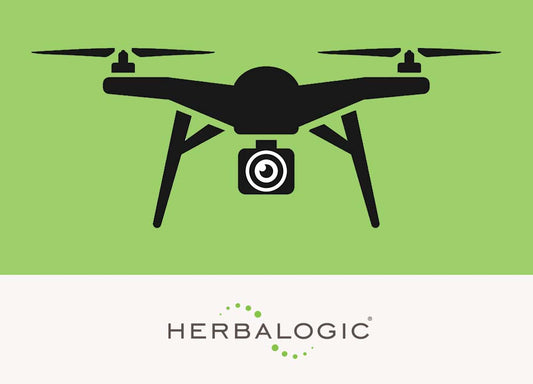 Drone icon to indicate blog post is a drone video featuring an interesting plant