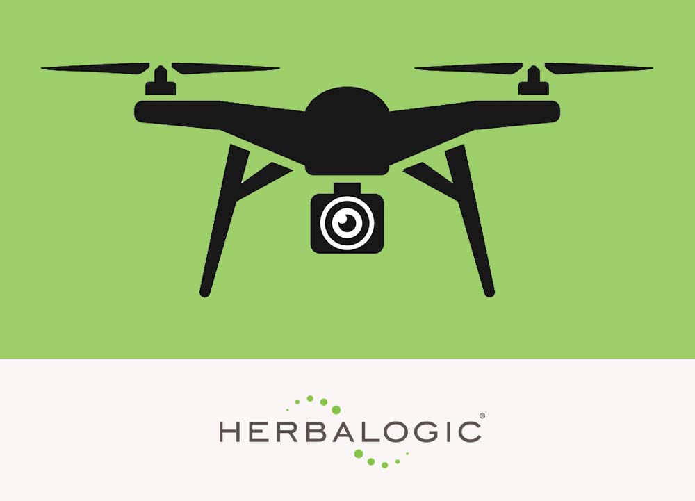 Drone icon to indicate blog post is a drone video featuring an interesting plant