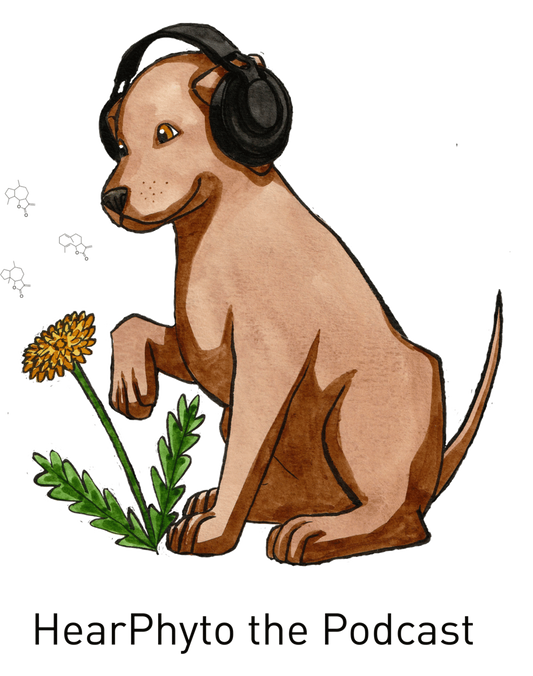 HearPhyto podcast Season 1 Episode 4: Poop Medicine