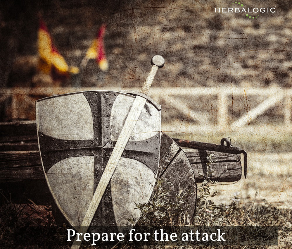 Shield- prepare for the attack