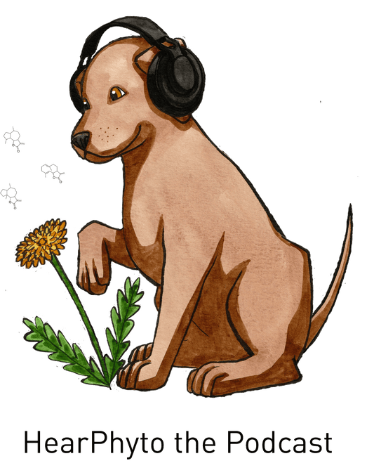 HearPhyto - A Podcast about Ephedra